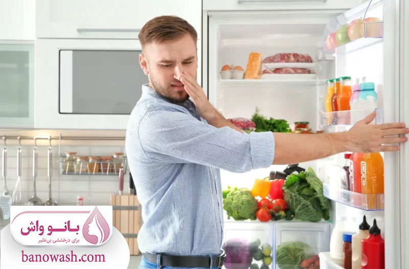 علت های رایج بوی بد یخچال 