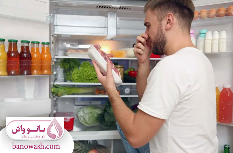 دلایل بوی بد یخچال 