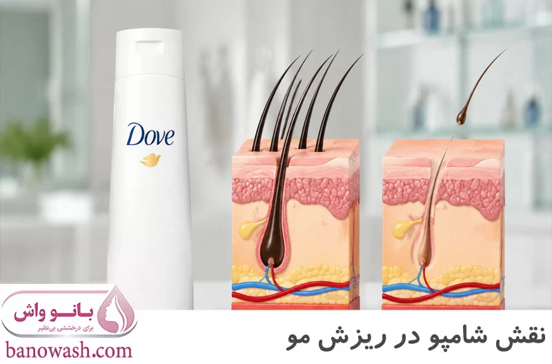 نقش شامپو در ریزش مو