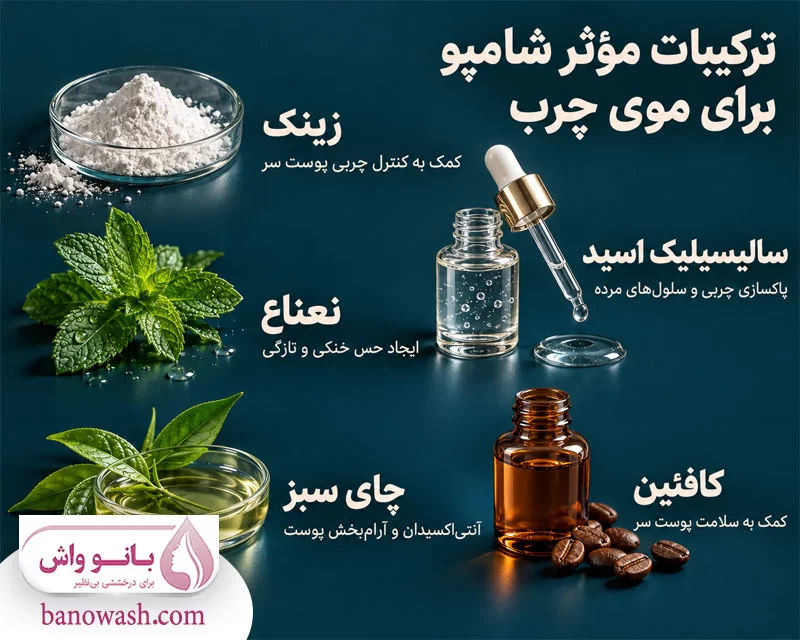 ترکیبات موثر در شامپو برای موی چرب