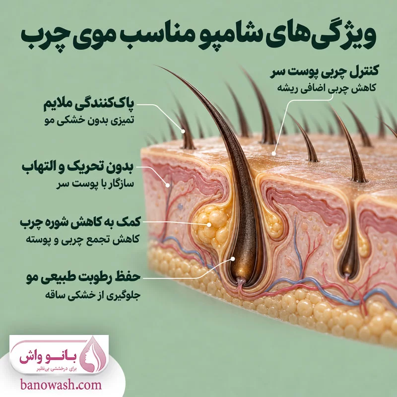 ویژگی های اصلی شامپو برای موی چرب