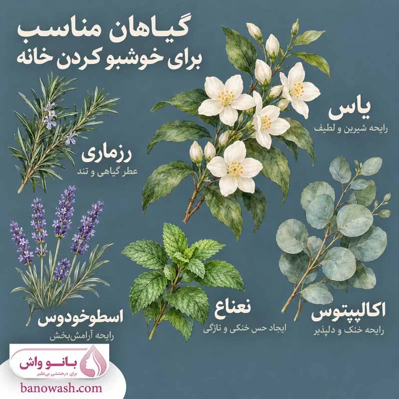 گیاهان مناسب برای خوشبو کردن خانه